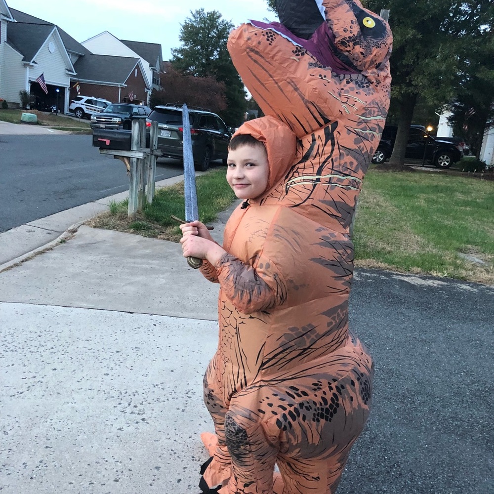 Dinosaur costume